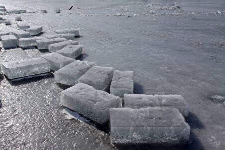 How to Build an Ice House Image